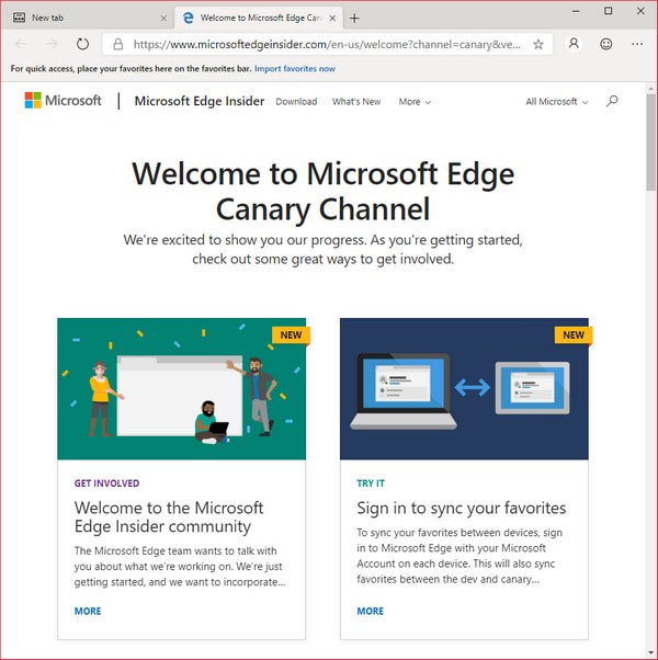 Microsoft  Edge  Canary(Chromium  Edge金丝雀版)