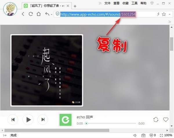 Echo回声解析器绿色版