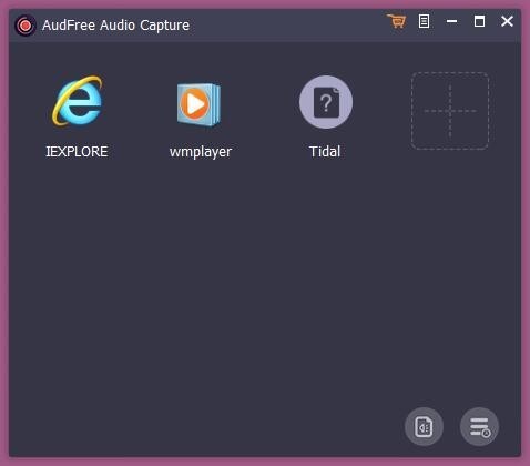 AudFree  Audio  Capture(音频录制工具)