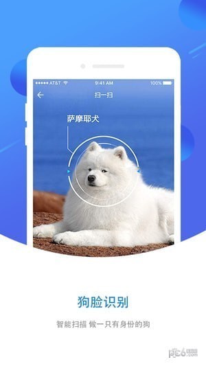 犬易