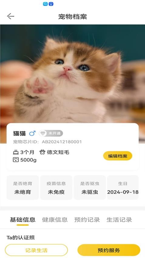 超级彼得安卓版