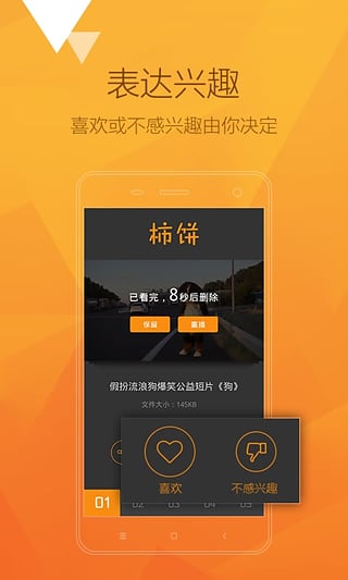 柿饼 柿饼