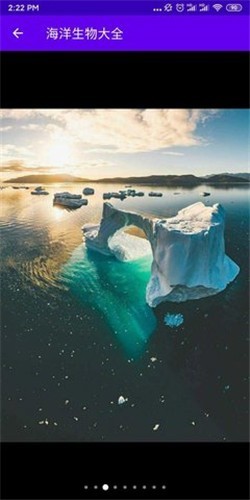 海洋生物大作战 海洋生物大作战