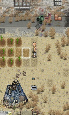 绿洲计划 绿洲计划