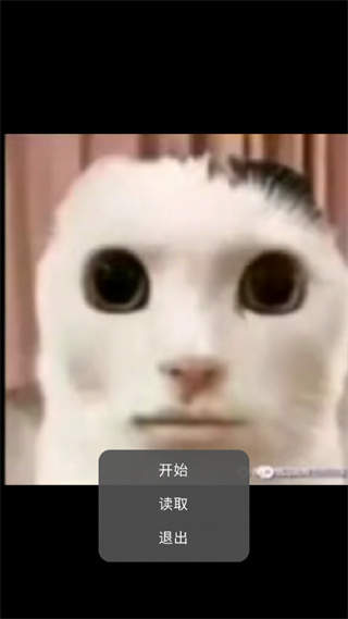 猫猫惊魂手机版