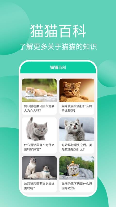 猫猫交流器免费版