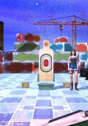射靶挑战安卓版（Shooting Challenge Bull Eye）