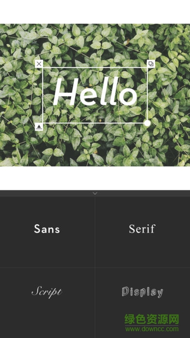 Whitagram