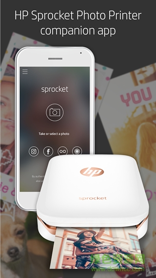 sprocket