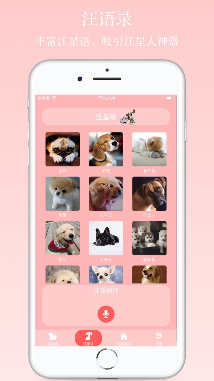 波波猫狗翻译器