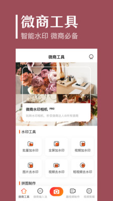 图片视频加水印软件