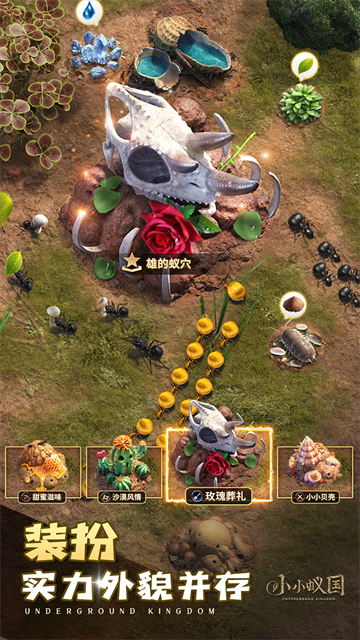 小小蚁国超快发育版